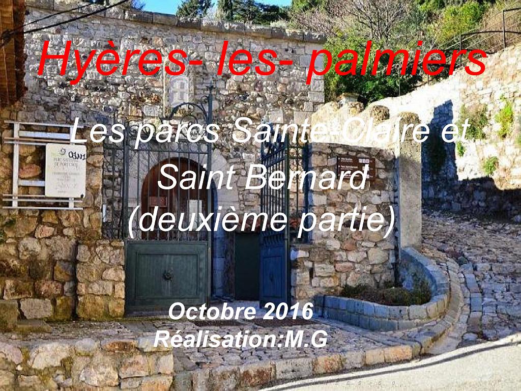 183 HYERES ET SES PALMIERS D02_000001.jpg